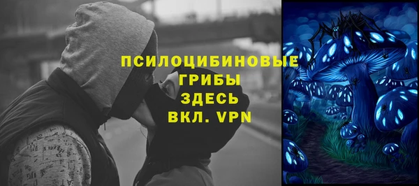 ГАЛЛЮЦИНОГЕННЫЕ ГРИБЫ Покров