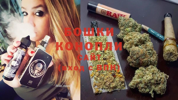 ГАЛЛЮЦИНОГЕННЫЕ ГРИБЫ Покров
