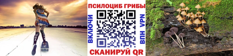 закладка  Великий Устюг  Галлюциногенные грибы Magic Shrooms 