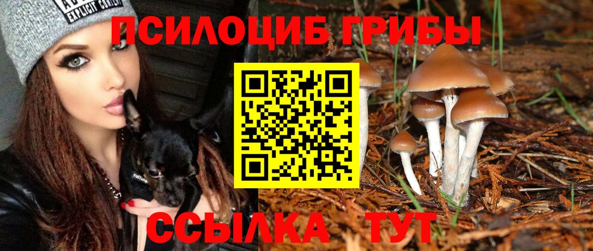 Псилоцибиновые грибы мицелий  Псилоцибиновые грибы Cubensis  Вход с VPN  Великий Устюг 