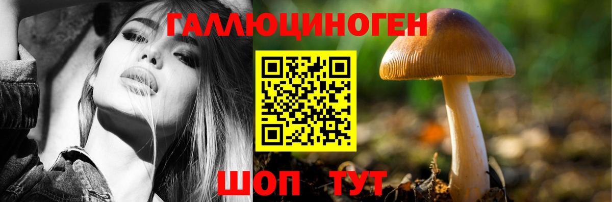 Псилоцибиновые грибы Psilocybine cubensis Великий Устюг