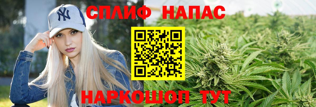 Бошки марихуана сатива Великий Устюг